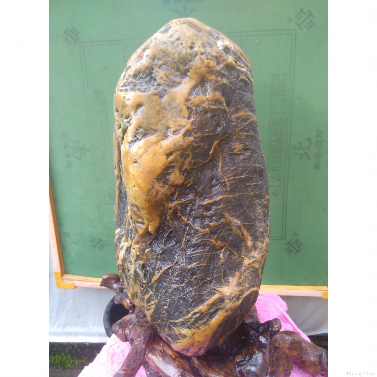 石馆 嘉石馆  金纹石 藏品名称:金纹石 石种:黄腊金纹石 产地: 大小