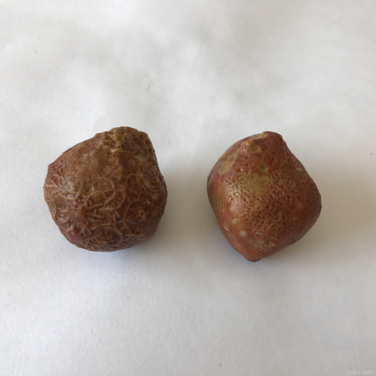 玛瑙 戈壁石 筋脉石