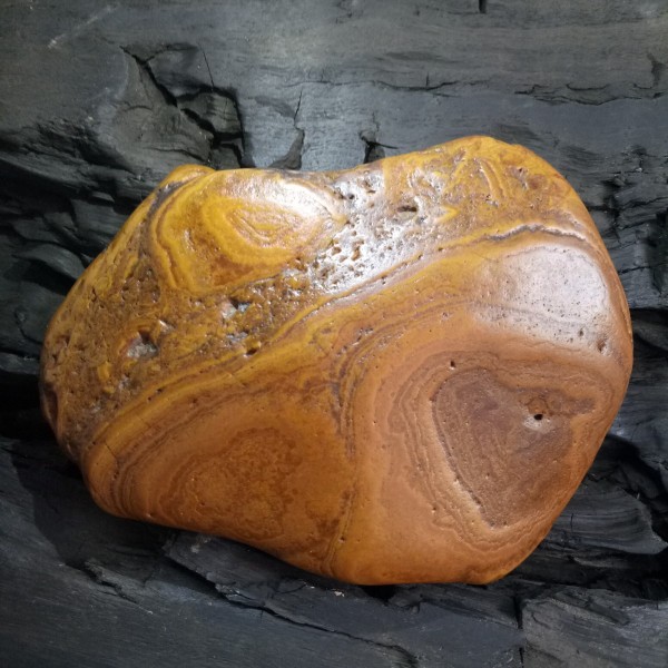 黄蜡石大金钱纹精品石