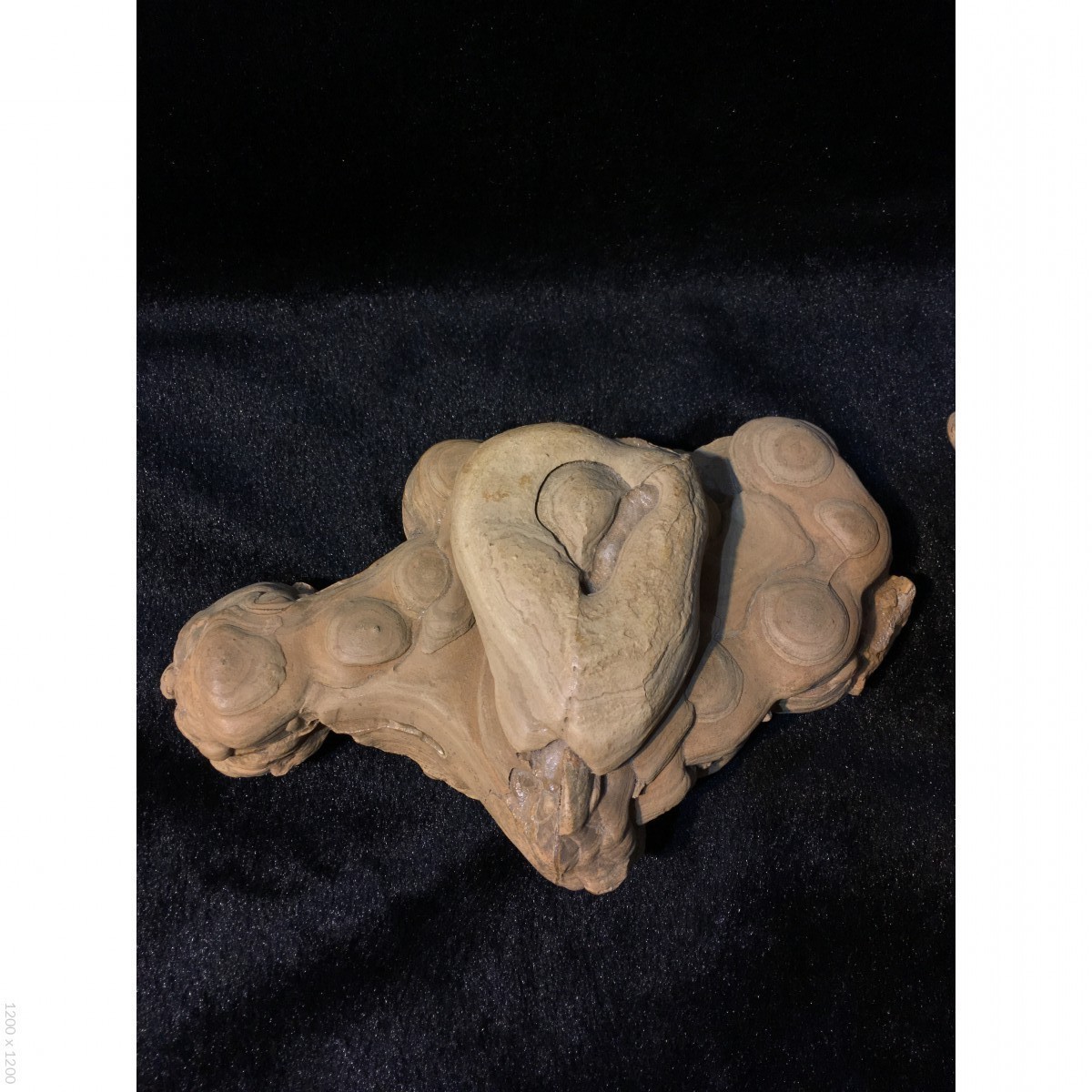 古陶石生命之源