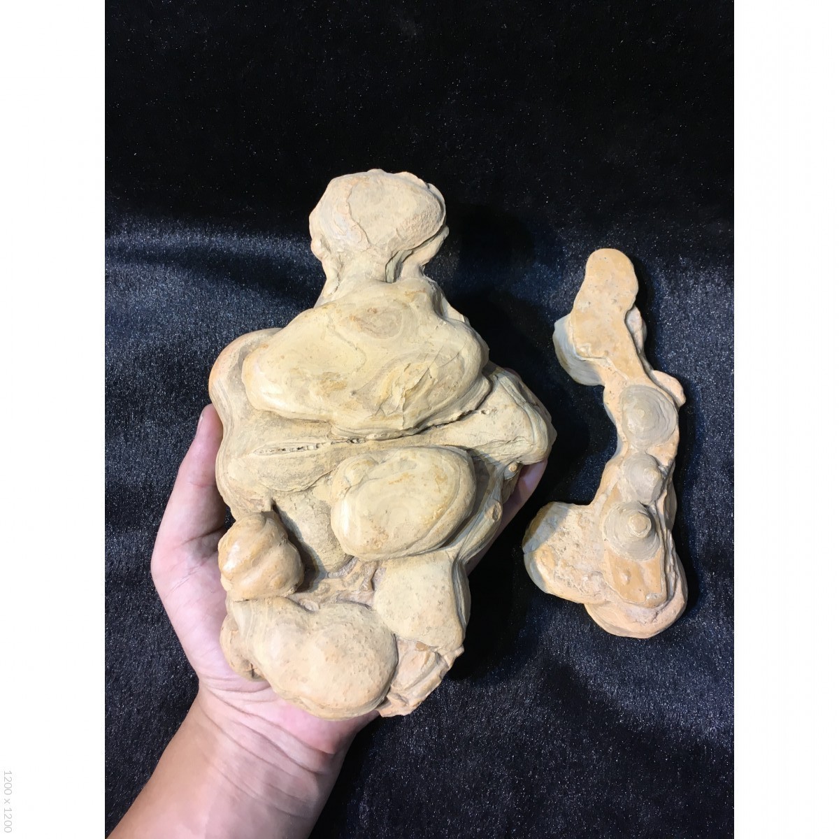 古陶石生命之源