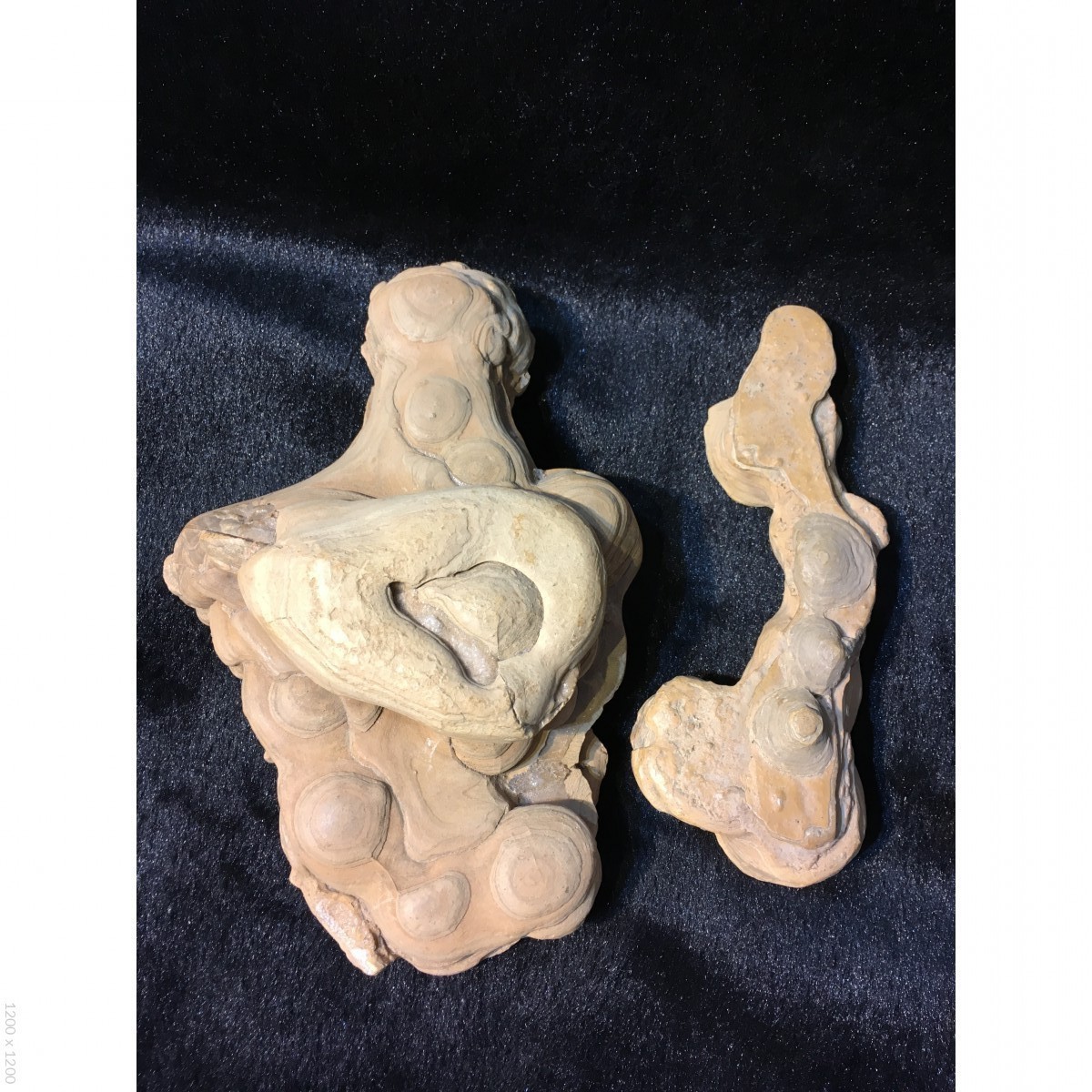 古陶石生命之源