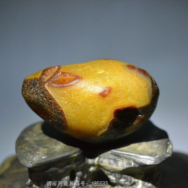 【精选 图纹石】玉兰蝴蝶 (马料)