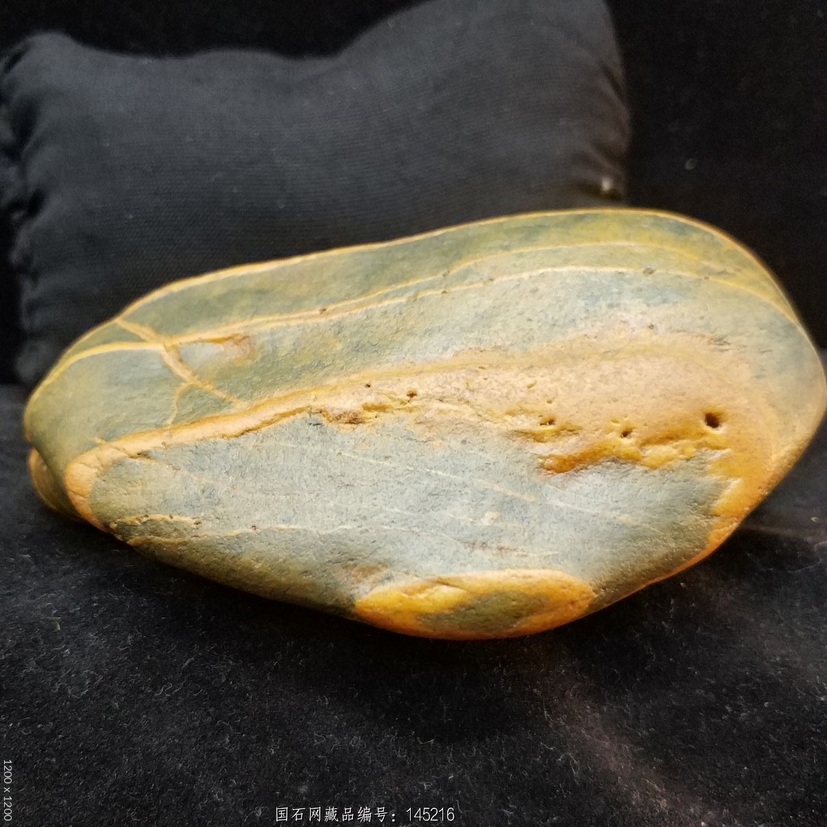 (放漏)金纹石/全品555克籽料