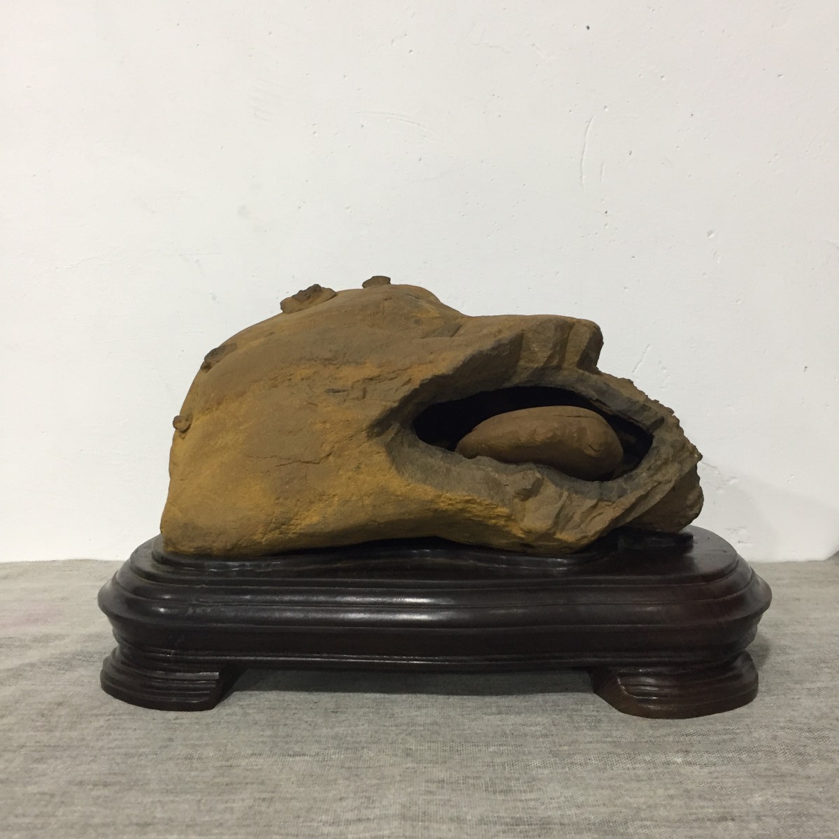 石馆 漠北石缘阁  木鱼石 藏品名称:木鱼石 石种:木鱼石 产地:山东