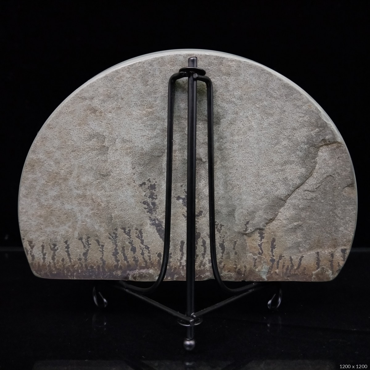 大清国宝松花石～模树石