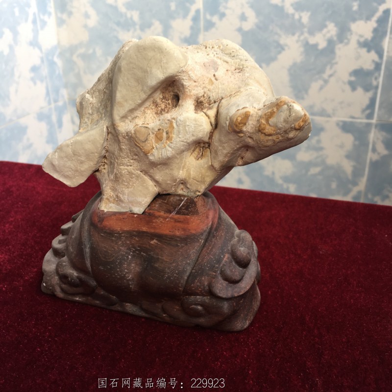 石馆 藏奇石买卖  猪八戒 藏品名称:猪八戒 石种:栖霞石 产地: 大小