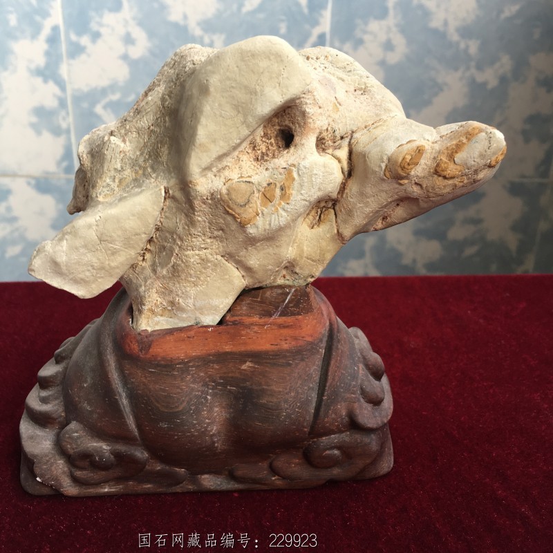 石馆 藏奇石买卖  猪八戒 藏品名称:猪八戒 石种:栖霞石 产地: 大小