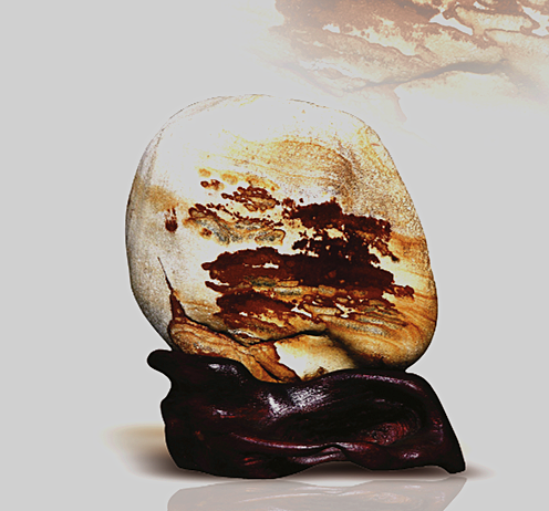 柳州奇石馆收藏的天峨石