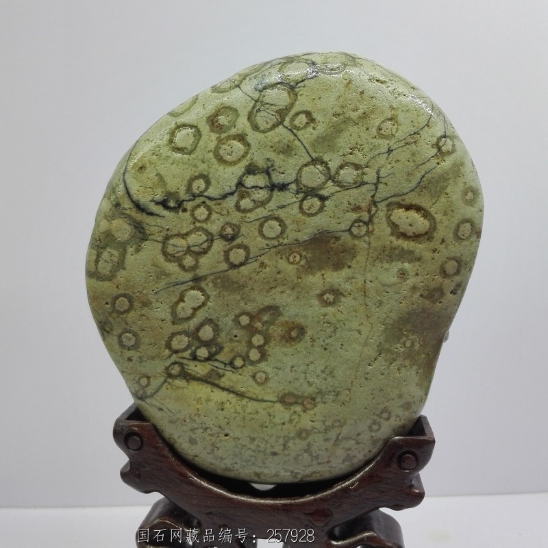 梅花 藏品名称:梅花 石种:长江石 产地: 大小:9 11 1 重量:未知 底座