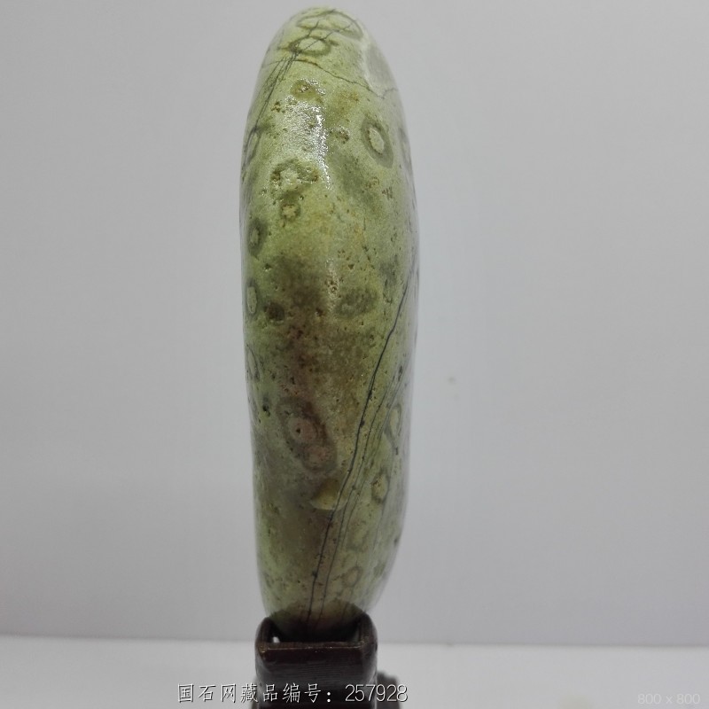 梅花 藏品名称:梅花 石种:长江石 产地: 大小:9 11 1 重量:未知 底座