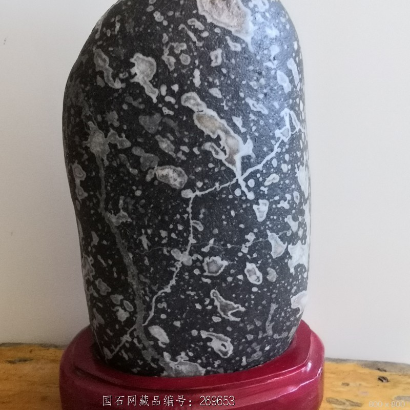 藏品名称:梅花石 石种:祁连彩石 产地: 大小:21*11*6 重量:未知 底座