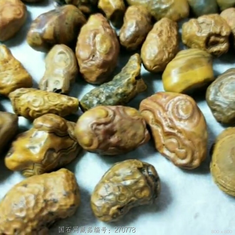 石馆 七宝石头记  纯天然九眼页岩原石籽料 藏品名称:纯天然九眼页岩