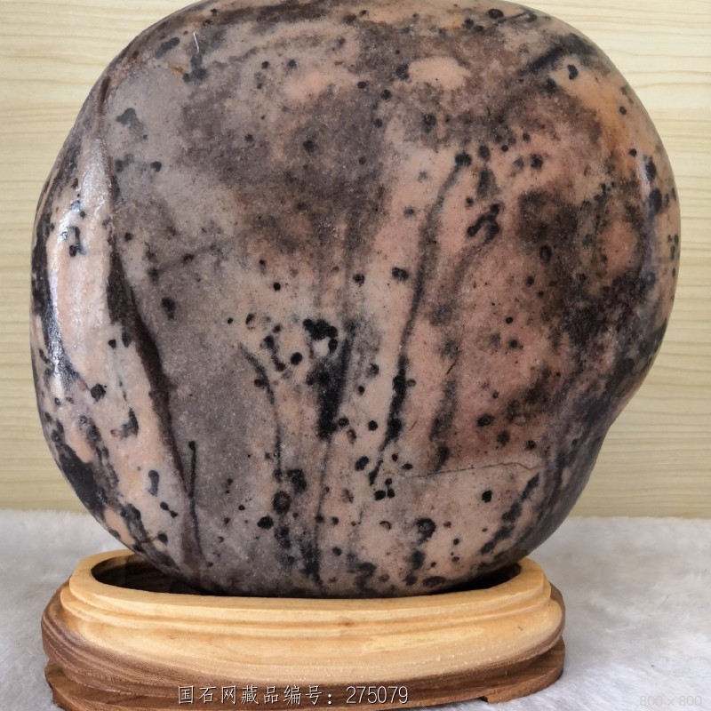 石馆 秋石轩  山隐居士图 藏品名称:山隐居士图 石种:黄河水冲原石