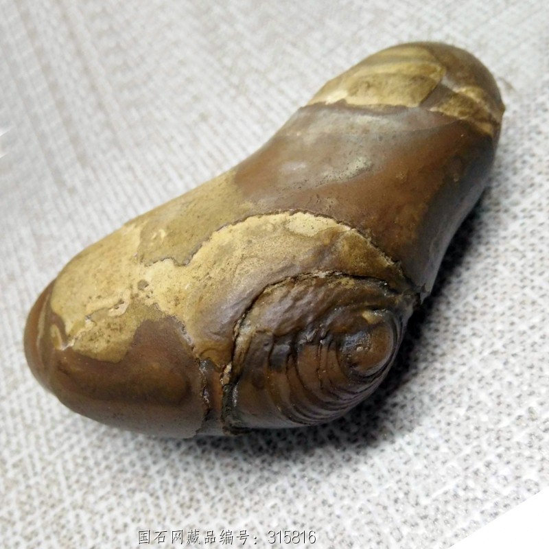 埃及玛瑙奇石精品图片