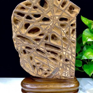 天然镂空造型结构石!