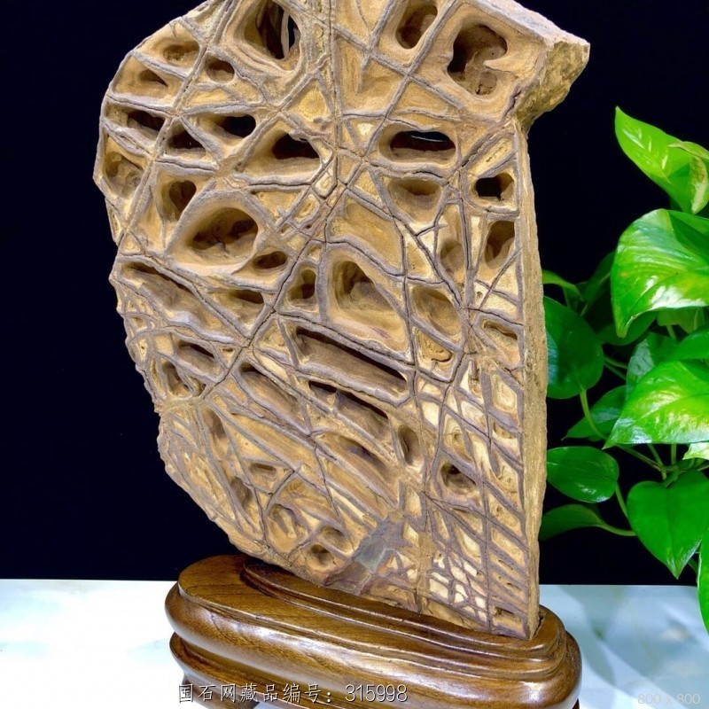 天然镂空造型结构石!