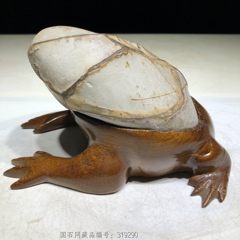 特价(招财金蟾)纯天然天鹅石观赏石原石