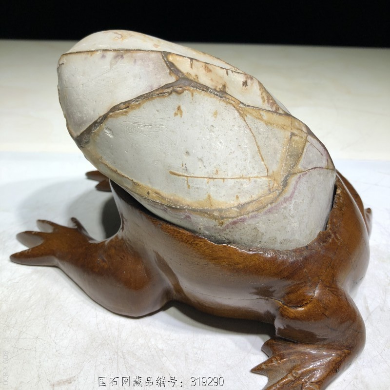 特价(招财金蟾)纯天然天鹅石观赏石原石