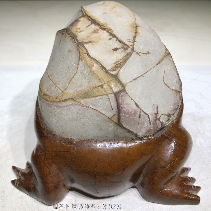 特价(招财金蟾)纯天然天鹅石观赏石原石