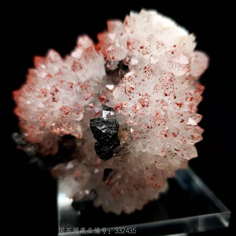 6#天然朱红色红水晶晶簇原石花状共生多种矿物晶体标本矿晶矿标摆件