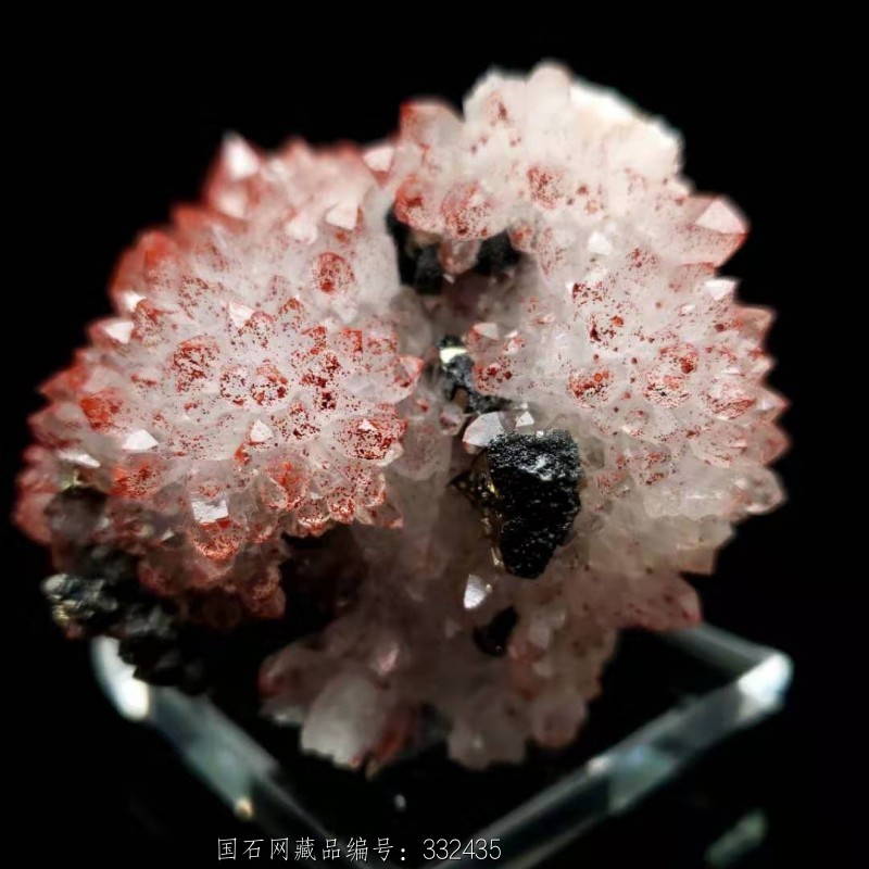 6#天然朱红色红水晶晶簇原石花状共生多种矿物晶体标本矿晶矿标摆件