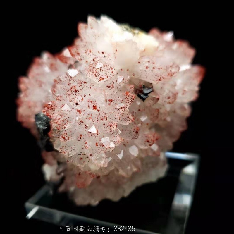 6#天然朱红色红水晶晶簇原石花状共生多种矿物晶体标本矿晶矿标摆件