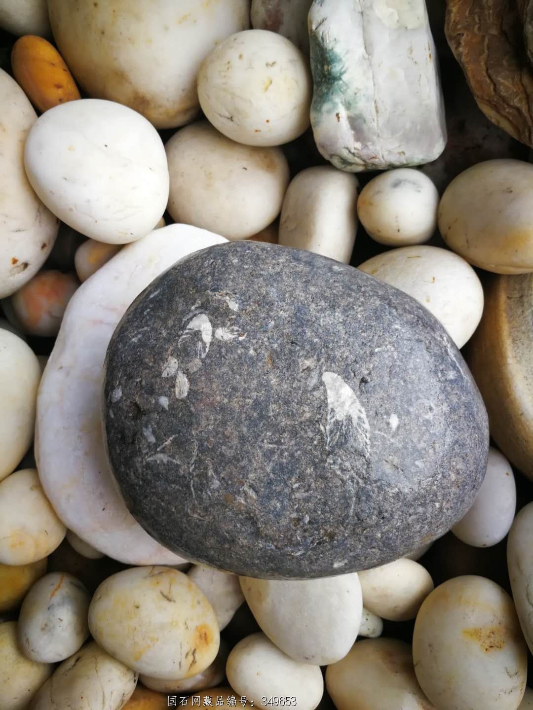 怒江水冲化石摆件