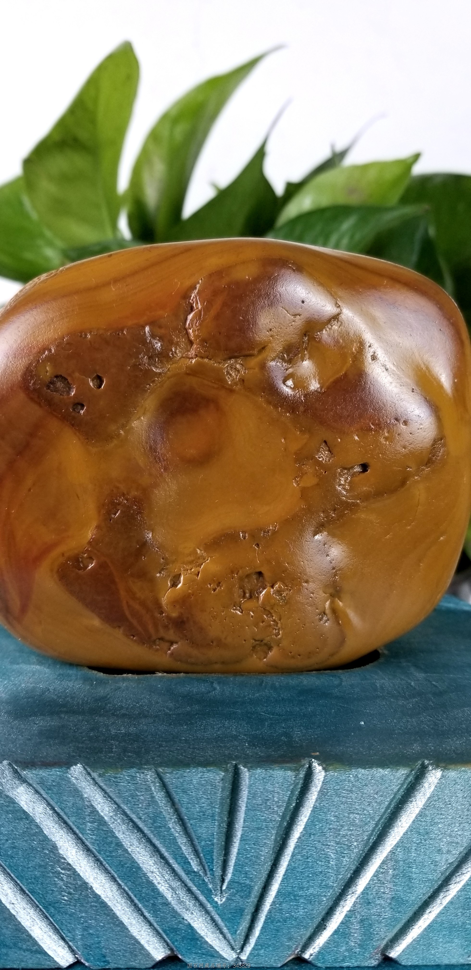 《怪物打架 一石多物》画面观赏黄蜡石