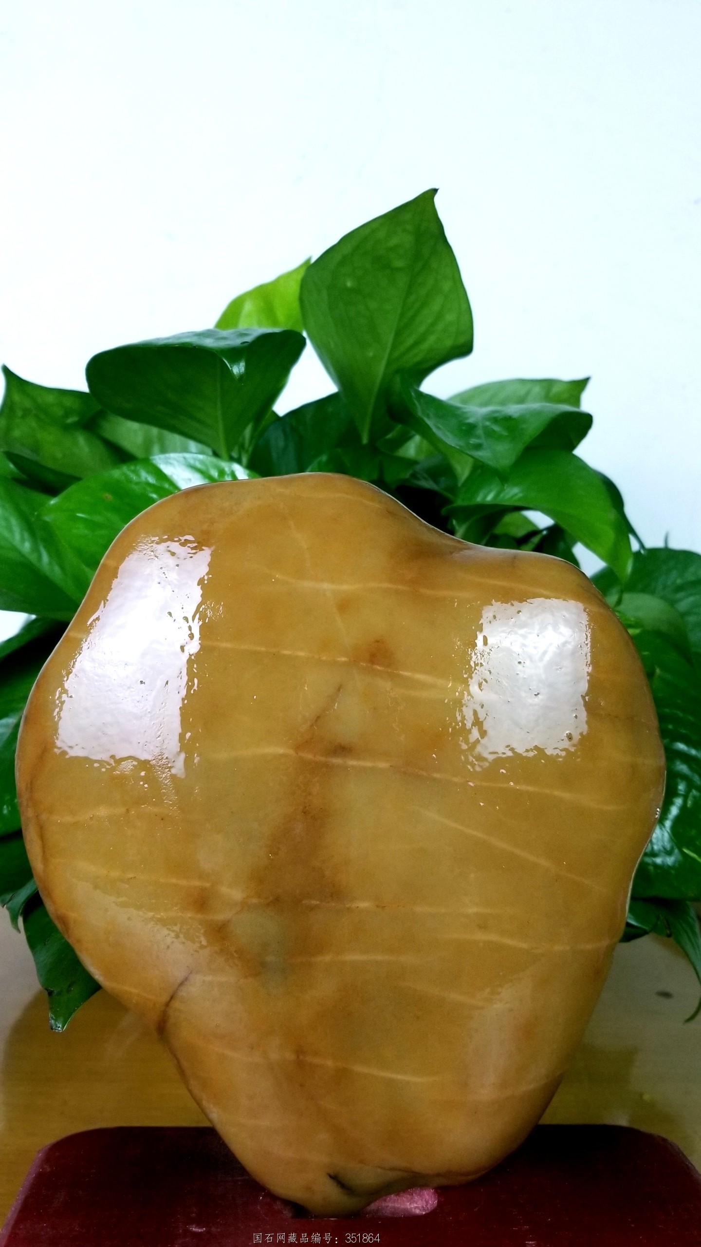 石英冻 平面观赏石