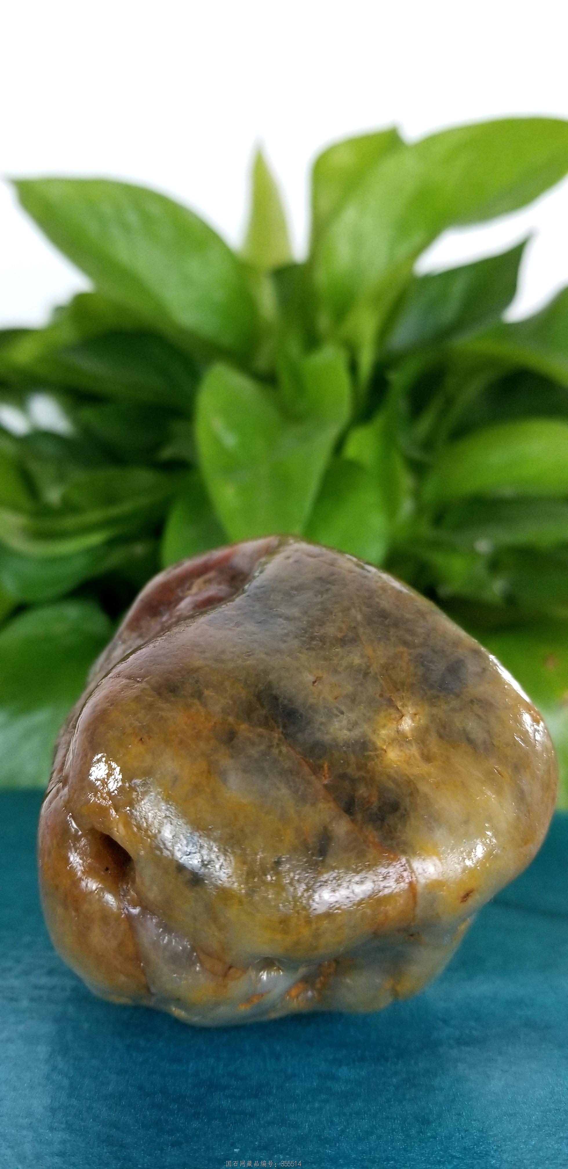 原皮玉化黄蜡石