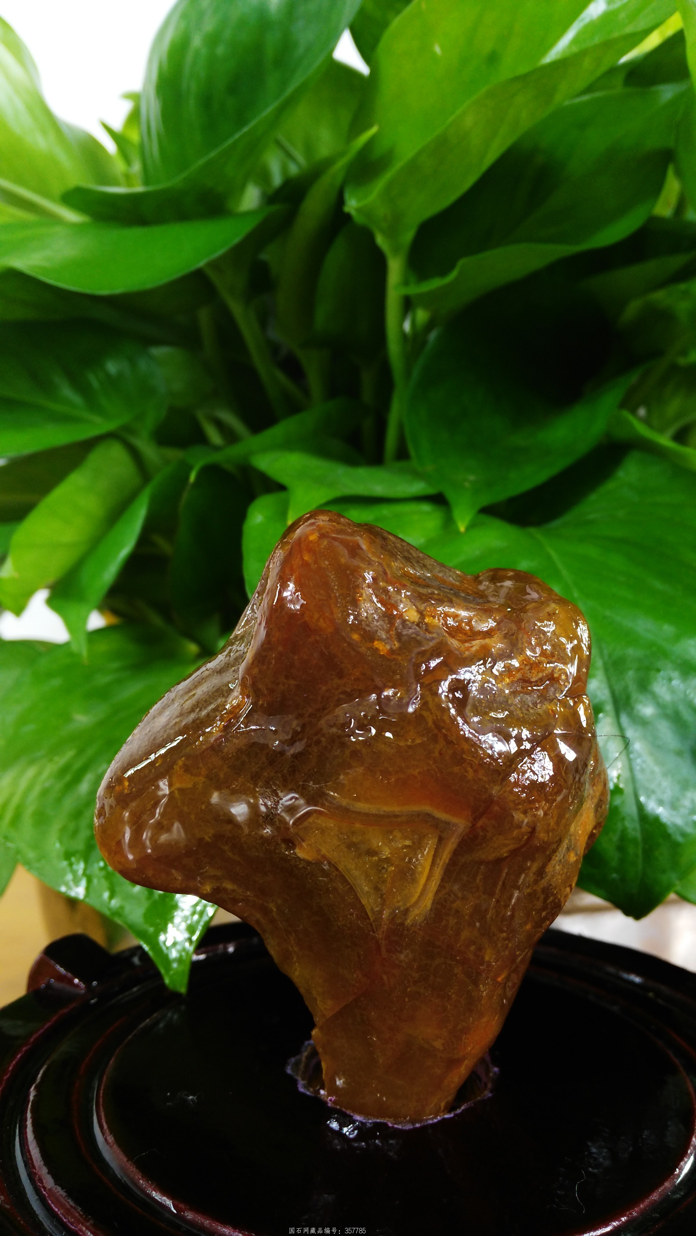 天然鸡头玛瑙石 - 石馆 - 国石网