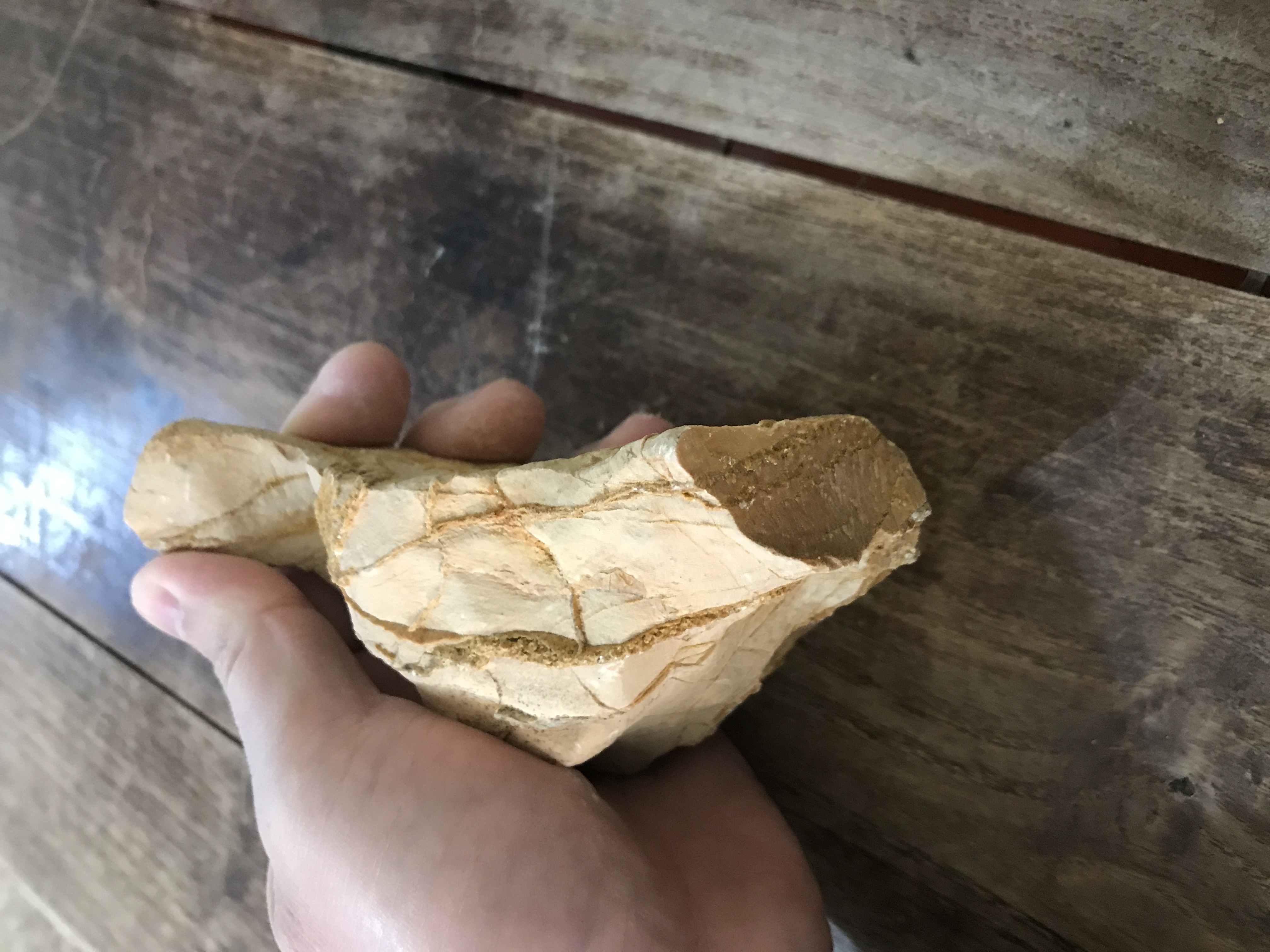 古代人头 - 石馆 - 国石网