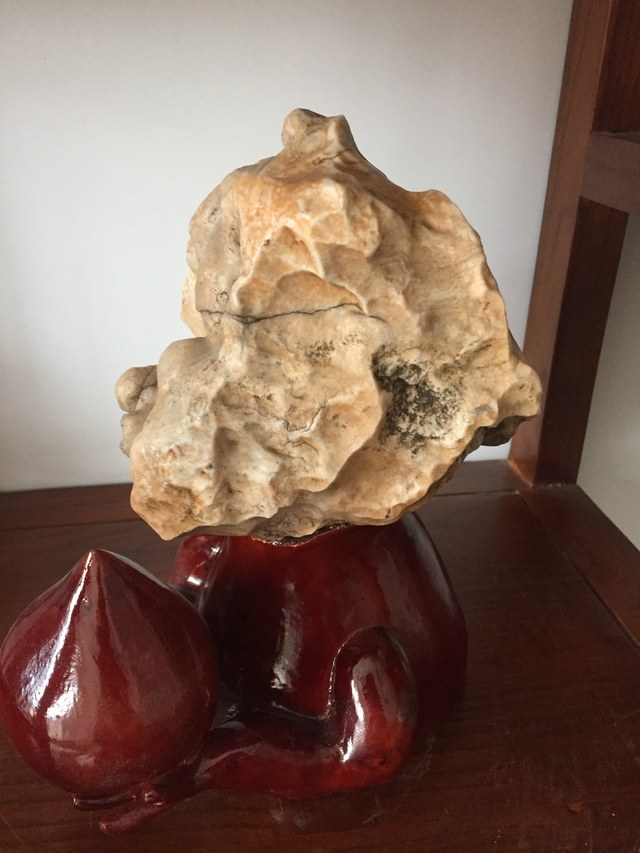 石馆 美林湾奇石  猴头藏品名称:猴头 石种:戈壁石沙漠柒 产地: 大小