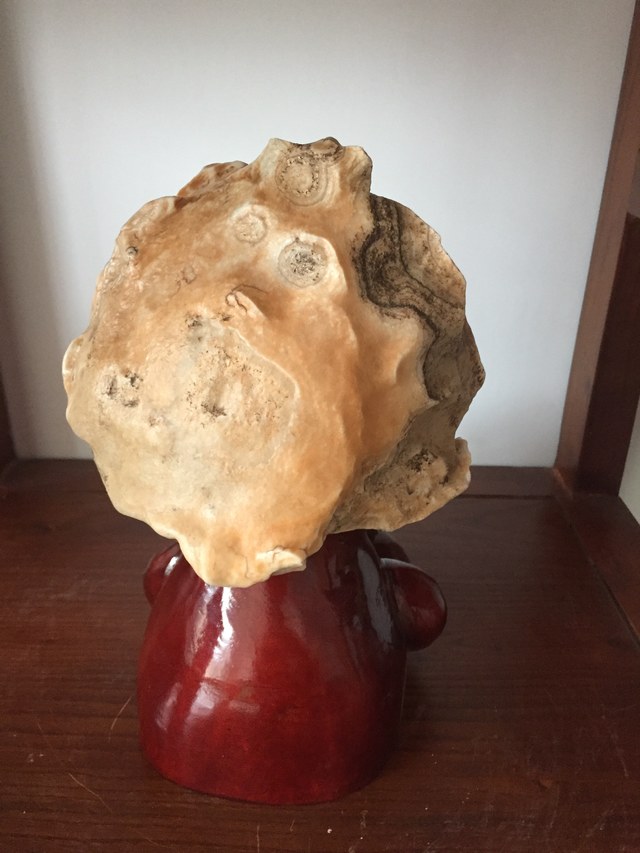 石馆 美林湾奇石  猴头藏品名称:猴头 石种:戈壁石沙漠柒 产地: 大小