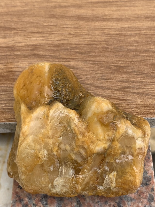 抱子石石头开花